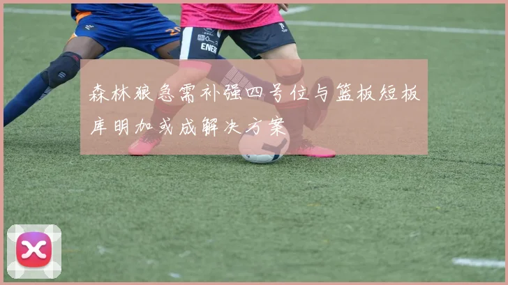 森林狼急需补强四号位与篮板短板库明加或成解决方案